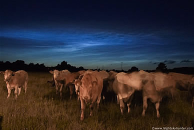 Noctilucent Cloud Article